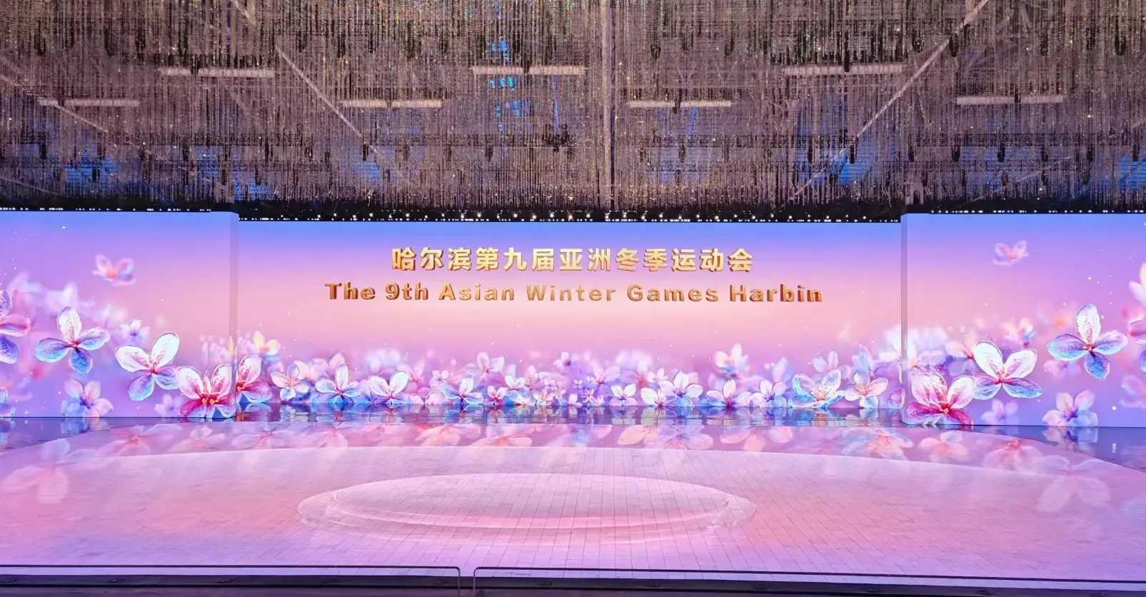 Sports and Esports Events